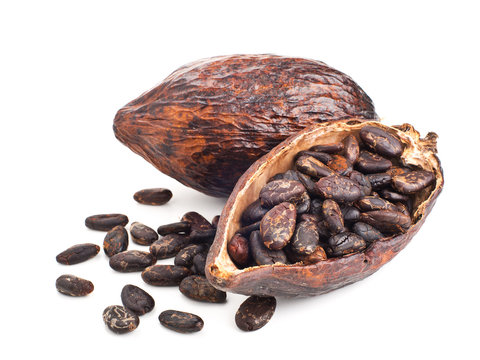 Cocoa