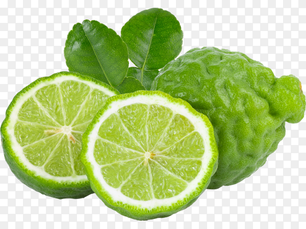 Bergamot