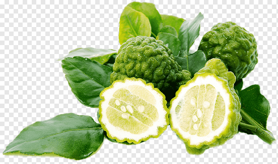 Kay Lime
