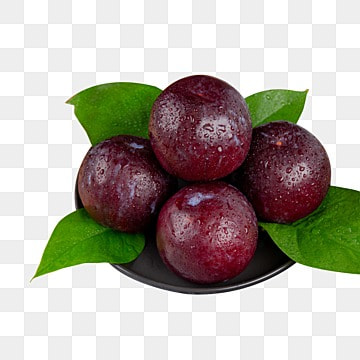 Kokum