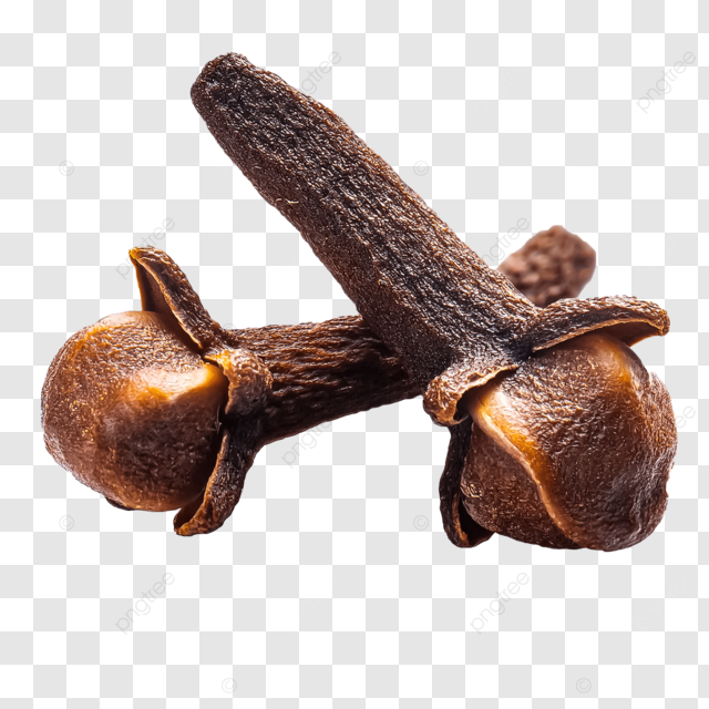 Clove
