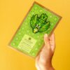 Aloe & Arnica -Sheet Facial Masque - Image 3