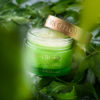 Neem & Tea Tree - Overnight Treatment Masque 100g - Image 5