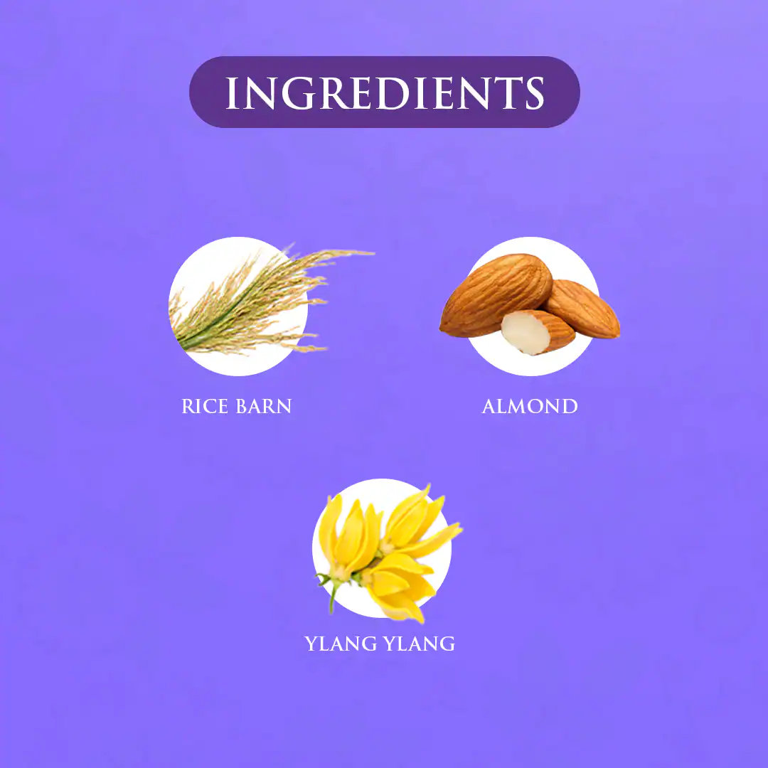 Sleep - Body Milk 250ml - Image 5